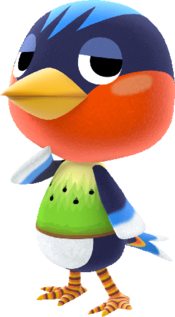 Robin