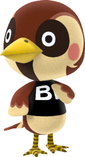 Sparro